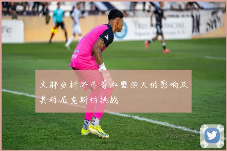 文胖分析字母哥加盟热火的影响及其对尼克斯的挑战