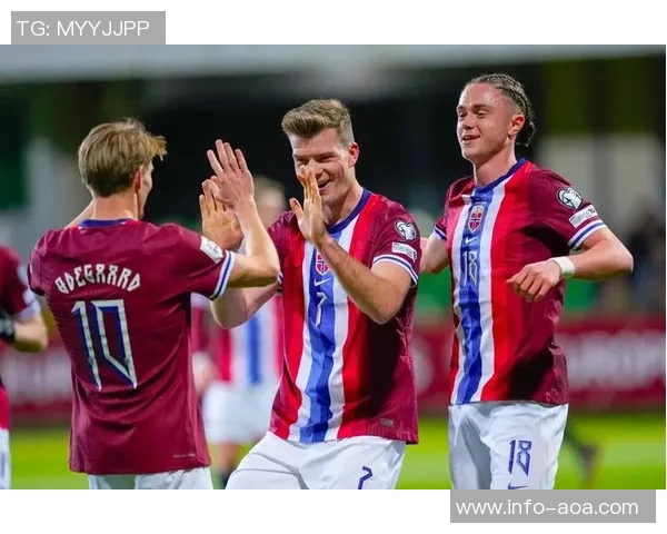 哈兰德世预赛表现惊艳6场打入12球超越第二名两倍之多